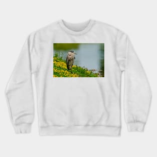 Blue Heron Crewneck Sweatshirt